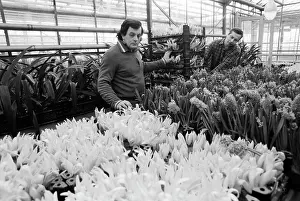 Experimental: Experimental greenhouse