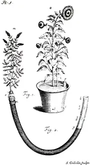 Quantities: Experiments, showing the quantities imbibed and