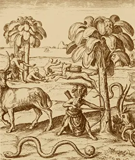 Apes: Exploration 1598