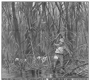 Hacking: EXPLORING BAMBOO JUNGLE