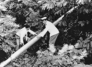 Assassinations: Explosives attack in Italia 1961