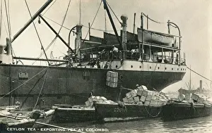 Exporting: Exporting Ceylon Tea at Colombo Docks - Sri Lanka