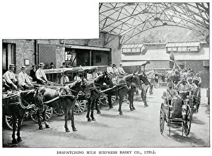 Dairies: Express Dairy - despatching milk 1902