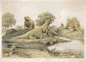 Sydenham: Extinct Animals Carved