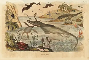 Dhistoire: Extinct dinosaurs, ichthyosaur, plesiosaur, pterodactyl, etc
