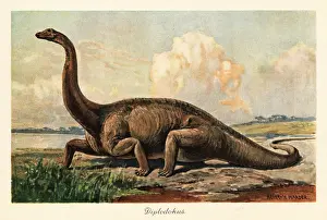Late Jurassic: Extinct Diplodocus longus on the plains