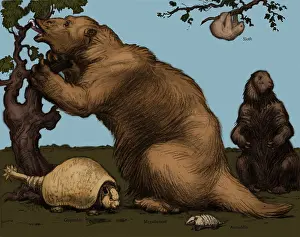 Sloth: Extinct Fauna
