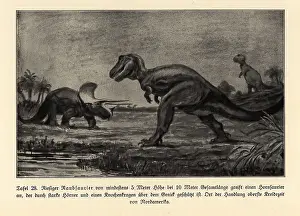 Maage: Extinct giant predatory dinosaur attacking a horned dinosaur