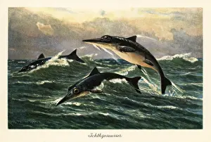 Ichthyosaurus: Extinct ichthyosaurs jumping above the ocean