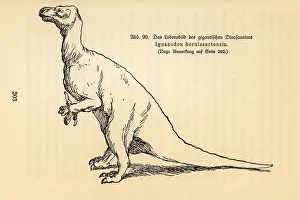 Maage: Extinct Iguanodon bernissartensis