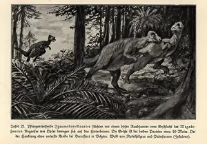 Megalosaurus: Extinct Iguanodons fleeing a predatory Megalosaurus