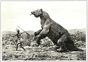 Megatherium: EXTINCT/MEGATHERIUM