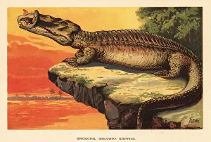 Lungfish: Extinct phytosaur, Nicrosaurus kapffi