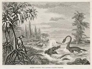 Plesiosaurus: EXTINCT PLESIOSAUR
