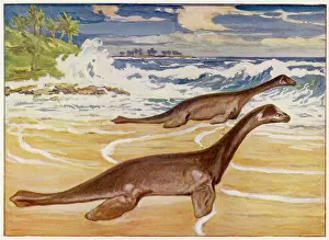 Plesiosaurs: EXTINCT/PLESIOSAURS