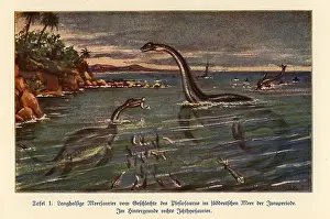 Plesiosaurs: Extinct Plesiosaurs and Ichthyosaur