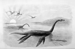 Plesiosaurus: EXTINCT/PLESIOSAURUS