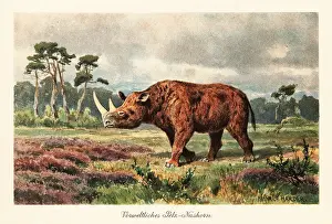 Heinrich Harder: Extinct woolly rhinoceros on the steppes