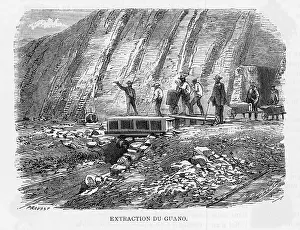 Chincha: Extracting Guano - Peru