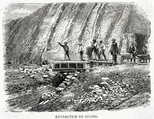 Chincha: Extracting Guano - Peru