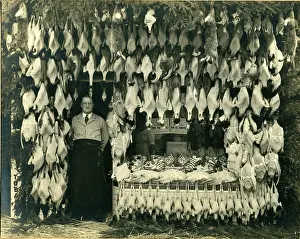 Splendid: Extraordinary array of game and fish with local butcher