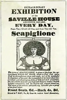 Typography: Extraordinary exhibition of Scapiglione