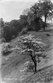 Judges: Eyam in the Dale