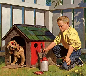 Cocker: An Eye Full