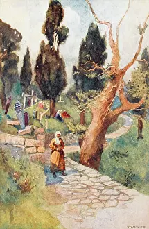 Ayub: Eyoub Cemetary - Constantinople
