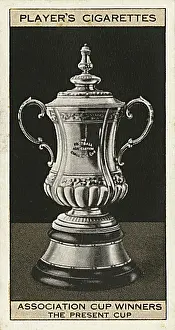 Silverware: The FA Cup trophy (the present cup)