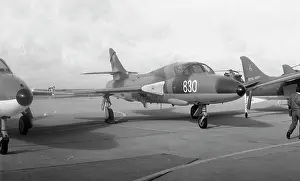 Culdrose: FAA Hunter T Mk.8 - 830 - Culdrose