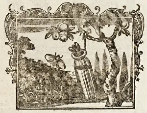 1761: Fable - the Two Bees