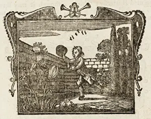 1761: FABLE / BOY & BUTTERFLY