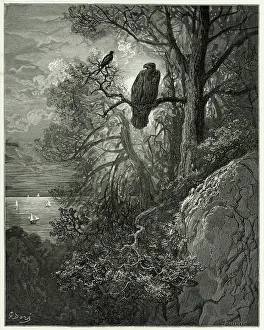 Magpie: Fable - Eagle - Magpie