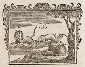 Thinks: Fable - Ears of the Hare