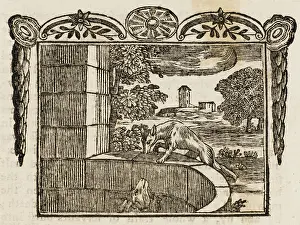 Cunning: Fable - the Fox and Goat