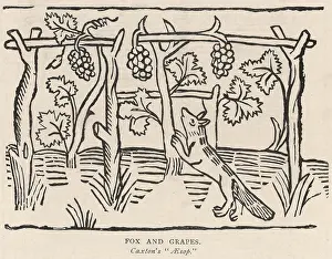 Proclaiming: Fable - Fox - Grapes