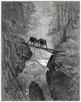 Stubborn: Fable - Two Goats