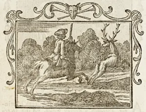 1761: FABLE / HORSE & THE STAG