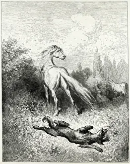 Suspicious: Fable - Horse and Wolf