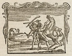 Lowly: Fable - Two Horses
