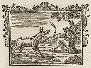 Realised: Fable - Lion and Ass