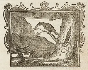Magpie: FABLE/MAGPIE & RAVEN