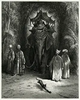 Claims: Fable - Rat and Elephant