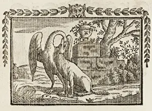 Claims: Fable - Wolf and Crane