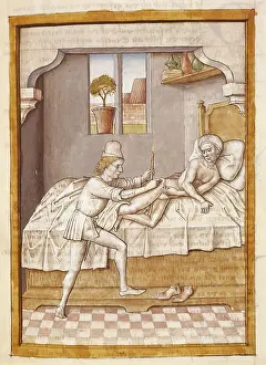 Ills: The Fables of Bidpai. Folio 6: Healing of an ill