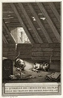 Quarrel: FABLES/CATS AND MICE