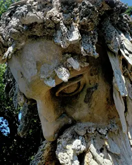 Giambologna: Detail of the face of
