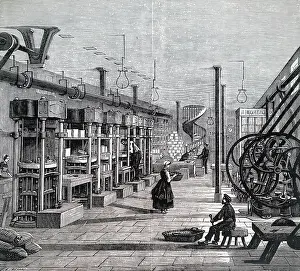 Vegetables: Factory for dehydrating and compressing vegetables