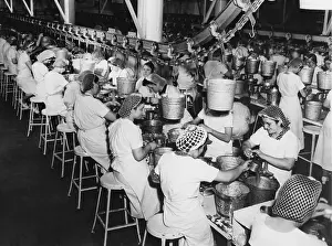 Pails: FACTORY WORKERS